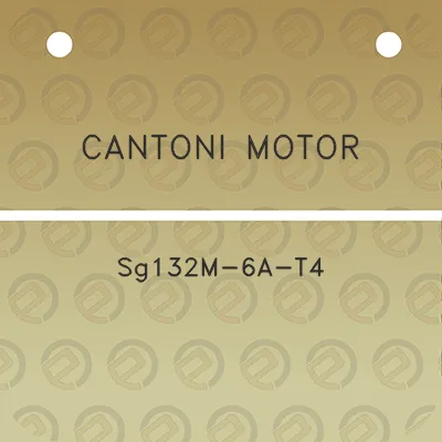 cantoni-motor-sg132m-6a-t4