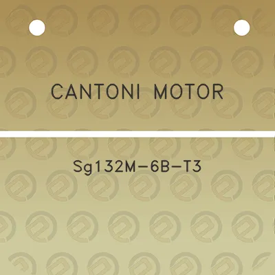 cantoni-motor-sg132m-6b-t3