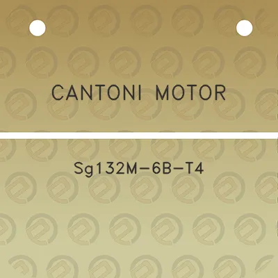 cantoni-motor-sg132m-6b-t4