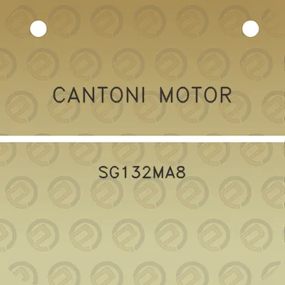 cantoni-motor-sg132ma8