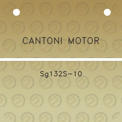 cantoni-motor-sg132s-10