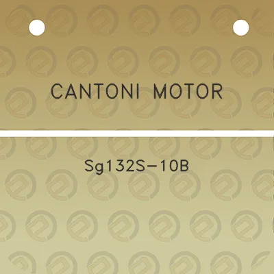 cantoni-motor-sg132s-10b