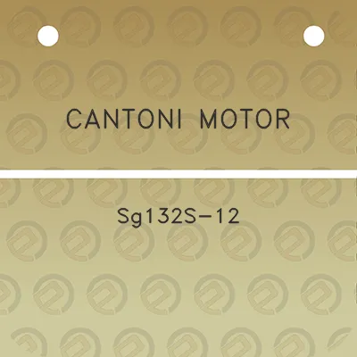 cantoni-motor-sg132s-12