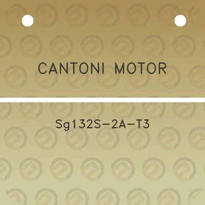 cantoni-motor-sg132s-2a-t3