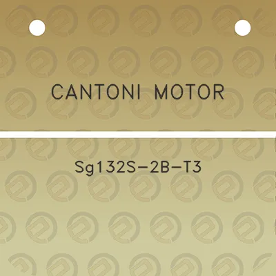 cantoni-motor-sg132s-2b-t3