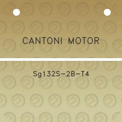 cantoni-motor-sg132s-2b-t4