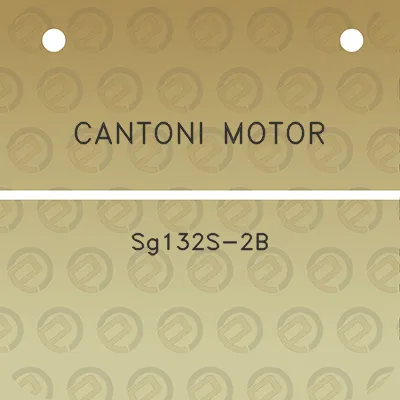 cantoni-motor-sg132s-2b