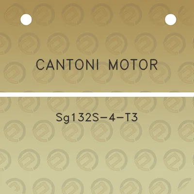 cantoni-motor-sg132s-4-t3