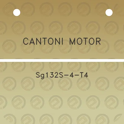 cantoni-motor-sg132s-4-t4