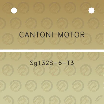 cantoni-motor-sg132s-6-t3