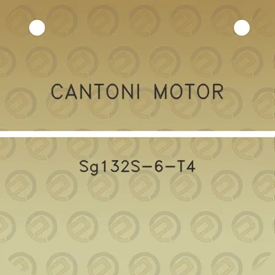 cantoni-motor-sg132s-6-t4