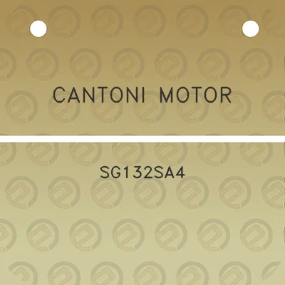 cantoni-motor-sg132sa4