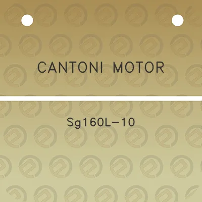 cantoni-motor-sg160l-10