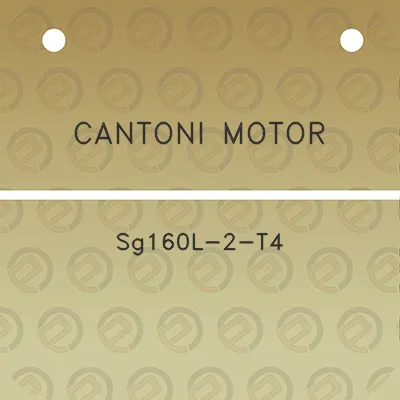 cantoni-motor-sg160l-2-t4