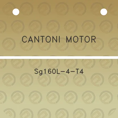 cantoni-motor-sg160l-4-t4