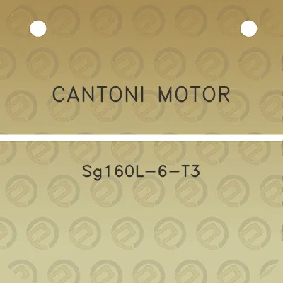 cantoni-motor-sg160l-6-t3