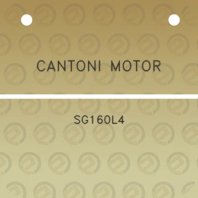 cantoni-motor-sg160l4