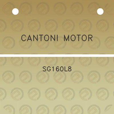 cantoni-motor-sg160l8