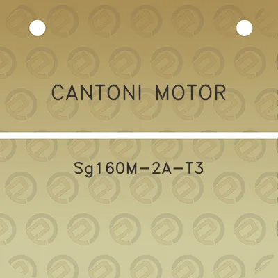 cantoni-motor-sg160m-2a-t3