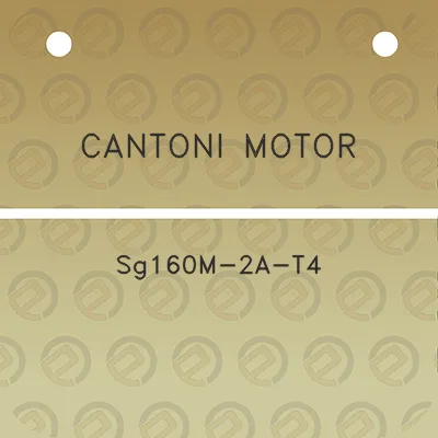 cantoni-motor-sg160m-2a-t4