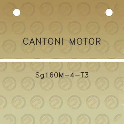 cantoni-motor-sg160m-4-t3