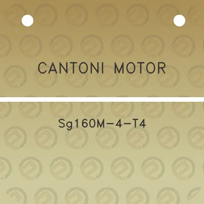 cantoni-motor-sg160m-4-t4