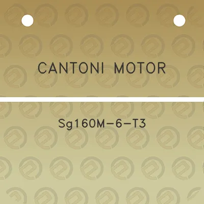 cantoni-motor-sg160m-6-t3