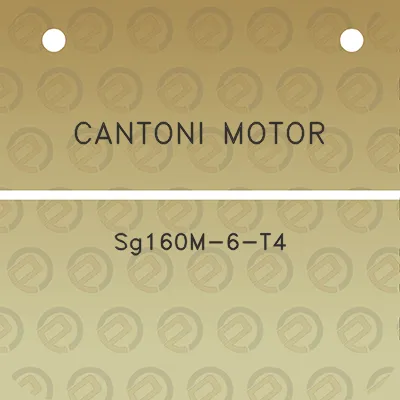 cantoni-motor-sg160m-6-t4