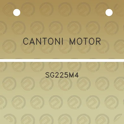 cantoni-motor-sg225m4