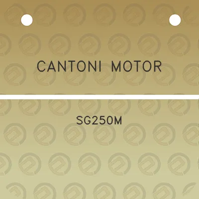 cantoni-motor-sg250m