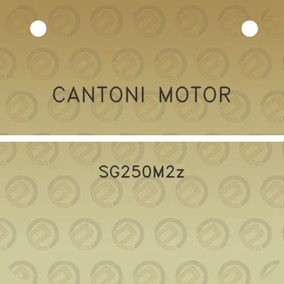 cantoni-motor-sg250m2z