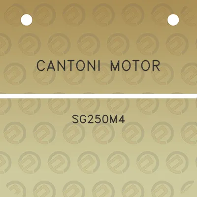 cantoni-motor-sg250m4