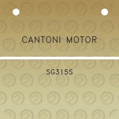 cantoni-motor-sg315s