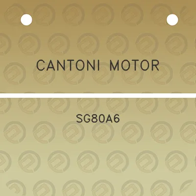 cantoni-motor-sg80a6