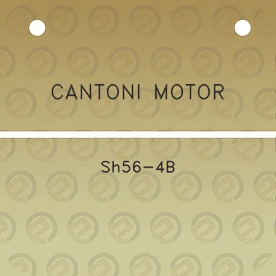 cantoni-motor-sh56-4b