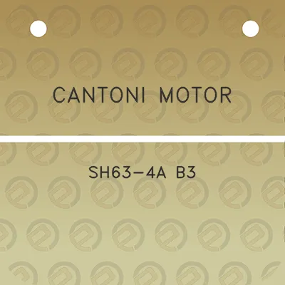 cantoni-motor-sh63-4a-b3