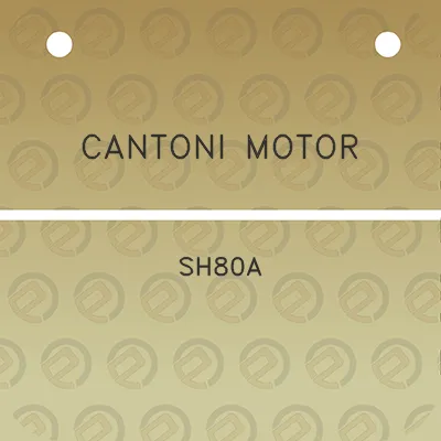 cantoni-motor-sh80a