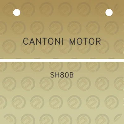 cantoni-motor-sh80b