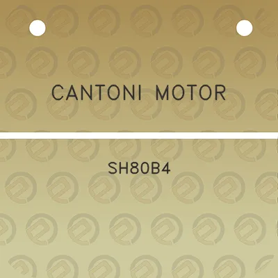 cantoni-motor-sh80b4