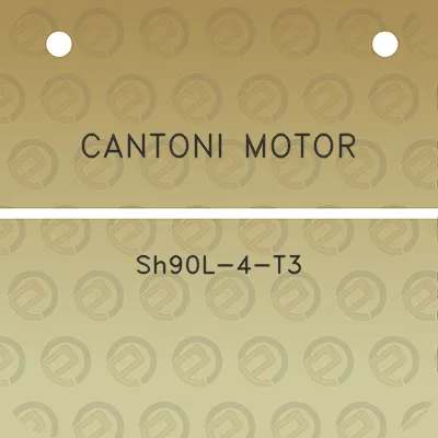 cantoni-motor-sh90l-4-t3