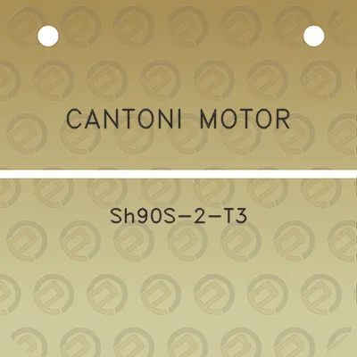 cantoni-motor-sh90s-2-t3