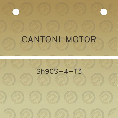 cantoni-motor-sh90s-4-t3