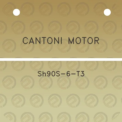 cantoni-motor-sh90s-6-t3