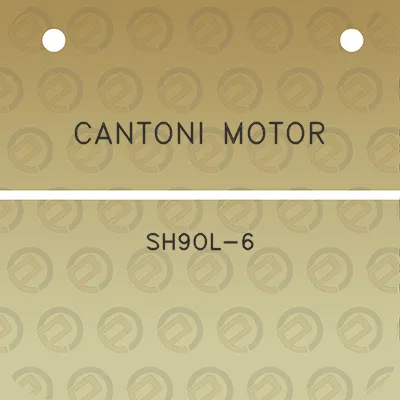 cantoni-motor-sh9ol-6