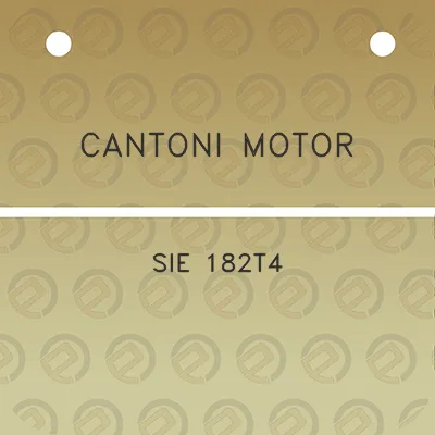 cantoni-motor-sie-182t4