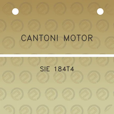 cantoni-motor-sie-184t4