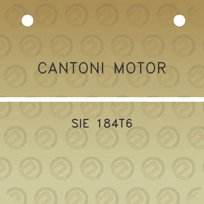 cantoni-motor-sie-184t6