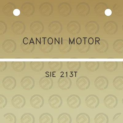 cantoni-motor-sie-213t