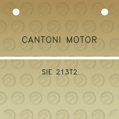 cantoni-motor-sie-213t2