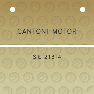 cantoni-motor-sie-213t4